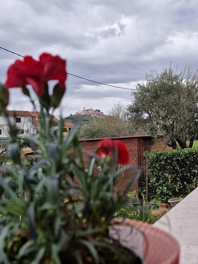 Apartman Sandro Motovun Zewnętrze zdjęcie